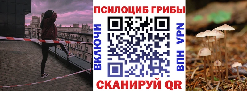 ссылка на мегу маркетплейс  Вятские Поляны  Псилоцибиновые грибы прущие грибы  как найти  